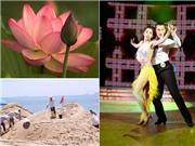 Bóng đá anh, ngoại hạng anh, lịch thi đấu euro 2012, Văn hóa toàn cảnh: Băn khoăn trong… mừng rỡ