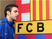 Bóng đá anh, ngoại hạng anh, lịch thi đấu euro 2012, Đã bắt đầu nói chuyện về Cesc Fabregas