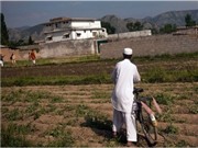 Bóng đá anh, ngoại hạng anh, lịch thi đấu euro 2012, Bằng chứng tình báo Pakistan che giấu bin Laden?