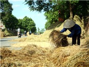 Bóng đá anh, ngoại hạng anh, lịch thi đấu euro 2012, Lòng đường thành sân phơi thóc lộ thiên