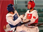 Bóng đá anh, ngoại hạng anh, lịch thi đấu euro 2012, Taekwondo Việt Nam hướng tới Olympic London 2012: Giấc mơ xa vời