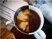 Bóng đá anh, ngoại hạng anh, lịch thi đấu euro 2012, Hai nửa màn hình: một chuyện tình gây sốt