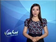 Bóng đá anh, ngoại hạng anh, lịch thi đấu euro 2012, Bản tin Văn hóa toàn cảnh ngày 11/7/2011