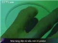 Bóng đá anh, ngoại hạng anh, lịch thi đấu euro 2012, Nhà hàng điện tử mới ở London