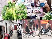 Bóng đá anh, ngoại hạng anh, lịch thi đấu euro 2012, Cơ hội để "ăn chay"