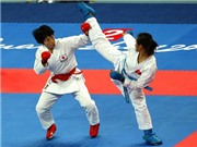 Bóng đá anh, ngoại hạng anh, lịch thi đấu euro 2012, ĐT karatedo VN tham dự giải VĐ châu Á
