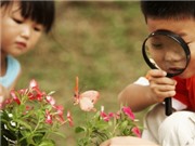 Bóng đá anh, ngoại hạng anh, lịch thi đấu euro 2012, Khi côn trùng "tấn công" bé
