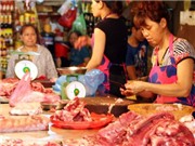 Bóng đá anh, ngoại hạng anh, lịch thi đấu euro 2012,  Giá cả tăng cao, ồ ạt nhập thịt 