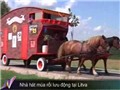 Bóng đá anh, ngoại hạng anh, lịch thi đấu euro 2012, Nhà hát múa rối lưu động tại Lithuania
