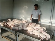 Bóng đá anh, ngoại hạng anh, lịch thi đấu euro 2012, Kinh hoàng heo quay