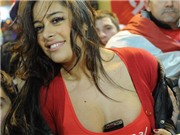 Bóng đá anh, ngoại hạng anh, lịch thi đấu euro 2012, Muôn màu Mendoza