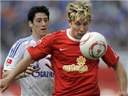 Bóng đá anh, ngoại hạng anh, lịch thi đấu euro 2012, Lewis Holtby: Niềm hy vọng của Schalke