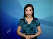 Bóng đá anh, ngoại hạng anh, lịch thi đấu euro 2012, Bản tin Văn hóa toàn cảnh ngày 25/7/2011
