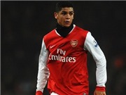 Bóng đá anh, ngoại hạng anh, lịch thi đấu euro 2012, Denilson tin chắc mùa tới Arsenal sẽ giành danh hiệu