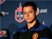 Bóng đá anh, ngoại hạng anh, lịch thi đấu euro 2012, Chicharito bị chấn động não