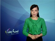 Bóng đá anh, ngoại hạng anh, lịch thi đấu euro 2012, Bản tin Văn hóa toàn cảnh ngày 31/7/2011