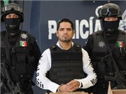 Bóng đá anh, ngoại hạng anh, lịch thi đấu euro 2012, Mexico tóm ông trùm sát hại 1.500 người
