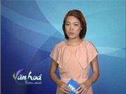 Bóng đá anh, ngoại hạng anh, lịch thi đấu euro 2012, Bản tin Văn hóa toàn cảnh ngày 3/8/2011