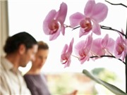Bóng đá anh, ngoại hạng anh, lịch thi đấu euro 2012, Tình yêu đến muộn