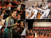 Bóng đá anh, ngoại hạng anh, lịch thi đấu euro 2012, Toàn cảnh văn hóa trong nước: Mong chờ