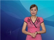 Bóng đá anh, ngoại hạng anh, lịch thi đấu euro 2012, Bản tin Văn hóa toàn cảnh ngày 11/8/2011