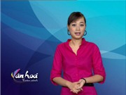 Bóng đá anh, ngoại hạng anh, lịch thi đấu euro 2012, Bản tin Văn hóa toàn cảnh ngày 12/8/2011