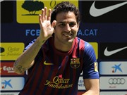 Bóng đá anh, ngoại hạng anh, lịch thi đấu euro 2012, Arsenal đáng ra bán được Fabregas với giá cao hơn