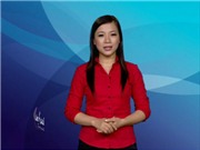 Bóng đá anh, ngoại hạng anh, lịch thi đấu euro 2012, Bản tin Văn hóa toàn cảnh ngày 15/8/2011