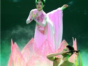 Bóng đá anh, ngoại hạng anh, lịch thi đấu euro 2012, "Sen" chào Hà Nội bằng "Bonjour Việt Nam"