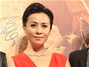 Bóng đá anh, ngoại hạng anh, lịch thi đấu euro 2012, Lưu Gia Linh kể chuyện ngụ ngôn để phản bác tin đồn