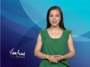 Bóng đá anh, ngoại hạng anh, lịch thi đấu euro 2012, Bản tin Văn hóa toàn cảnh ngày 24/8/2011