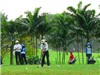 Giải golf từ thiện “Swing for life” 2011: Tương thân tương ái