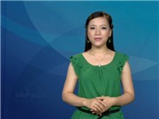 Bóng đá anh, ngoại hạng anh, lịch thi đấu euro 2012, Bản tin Văn hóa toàn cảnh ngày 30/8/2011