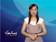 Bóng đá anh, ngoại hạng anh, lịch thi đấu euro 2012, Bản tin Văn hóa toàn cảnh ngày 31/8/2011