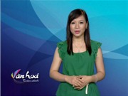 Bóng đá anh, ngoại hạng anh, lịch thi đấu euro 2012, Bản tin Văn hóa toàn cảnh ngày 13/9/2011