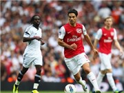 Bóng đá anh, ngoại hạng anh, lịch thi đấu euro 2012, Arteta muốn "cơn khát" của Arsenal sớm chấm dứt