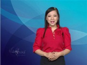 Bóng đá anh, ngoại hạng anh, lịch thi đấu euro 2012, Bản tin Văn hóa toàn cảnh ngày 19/9/2011