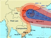 Bóng đá anh, ngoại hạng anh, lịch thi đấu euro 2012, Bão Nesat mạnh cấp 13 vào biển Đông