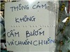 "Chết cười" với ảnh vui và lạ trên đường du lịch