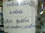 Bóng đá anh, ngoại hạng anh, lịch thi đấu euro 2012, "Chết cười" với ảnh vui và lạ trên đường du lịch