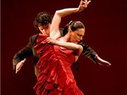 Bóng đá anh, ngoại hạng anh, lịch thi đấu euro 2012, Vũ điệu flamenco Tây Ban Nha đến Việt Nam
