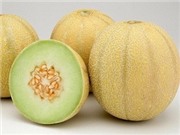 Bóng đá anh, ngoại hạng anh, lịch thi đấu euro 2012, Dưa vàng nhiễm khuẩn listeria chưa có ở Việt Nam
