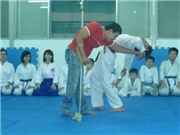 Bóng đá anh, ngoại hạng anh, lịch thi đấu euro 2012, Những võ sinh Aikido đặc biệt