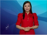 Bóng đá anh, ngoại hạng anh, lịch thi đấu euro 2012, Bản tin Văn hóa toàn cảnh ngày 9/10/2011 