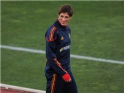 Bóng đá anh, ngoại hạng anh, lịch thi đấu euro 2012, Không dễ gì loại bỏ Torres