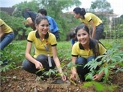 Bóng đá anh, ngoại hạng anh, lịch thi đấu euro 2012, 12 Hoa hậu Việt làm từ thiện... 1,5 triệu đồng!