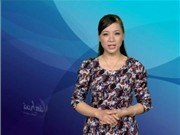 Bóng đá anh, ngoại hạng anh, lịch thi đấu euro 2012, Bản tin Văn hóa toàn cảnh ngày 11/10/2011