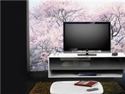 Bóng đá anh, ngoại hạng anh, lịch thi đấu euro 2012, Sony phải thu hồi 1,6 triệu TV LCD trên toàn cầu