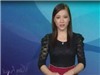 Bóng đá anh, ngoại hạng anh, lịch thi đấu euro 2012, Bản tin Văn hóa toàn cảnh ngày 14/10/2011 
