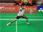 Bóng đá anh, ngoại hạng anh, lịch thi đấu euro 2012, Cựu VĐ cầu lông thế giới cầm đuốc SEA Games 26